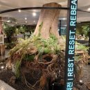 쌍용서비스프라자동대문코너 | 주말 가볼만한 DDP 전시｜동대문 디지인플라자 무료 AI 뷰티 체험 후기