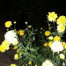 수도산쉼터 네이버블로그