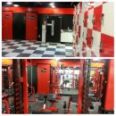 바디디자이너 이미지