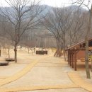 대흥동 유아숲체험원 쿠키뉴스