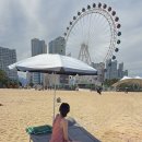 벨라까사 | 속초해변 뒤집어 놓은 선베드 ㅣ 리클라이너 침대 벨라까사 폴딩베드 내돈내산 후기