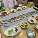 제주 왕 통갈치구이 맛집 :: 춘심이네 내돈내산 솔직후기