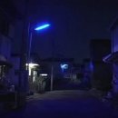 푸른조명 - 목포시 양을로190번길 2 | 푸른조명