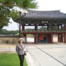 대흥사우나,모텔 이미지