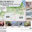 민통선