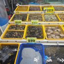 대하통상 | 서해안 여행 태안 가볼만한곳 모항항 꽃게 새우 구매시 자연산 대하 구별법 꿀팁과 찰광어 정보