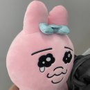 윤주태 | 시흥 배곧왁싱 빠르고 통증 없이, 우호왁싱