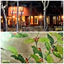 [과천 카페] 과천의 숨은 보석, 핸드드립커피 전문점, 김종석 Coffee 방문 후기 ☕