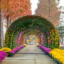 피나클랜드 이미지