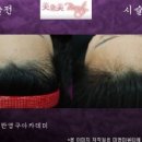 미앤미헤어라인