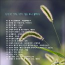 아침향기 이미지