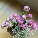 다복 이미지