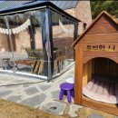 힐링 그리고 하루 이미지