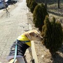 용서농장 이미지