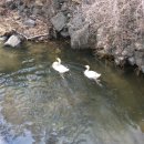 별의향기민박 이미지