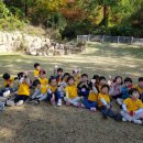 흙과 나무 이미지