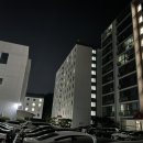 다사랑치킨피자구평점 이미지