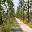 수인선 바람길 숲 이미지