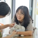 이쁘냥 고양이 미용실 이미지