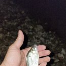 장기낚시터 이미지