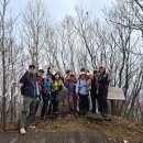 (주)명성정비 | (정중앙봉-봉화산 산행) 양구의 봄을 선물 받다