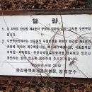 여주-0099 Daum카페