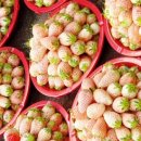 들말편의점 이미지