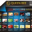 뉴라이온 이미지