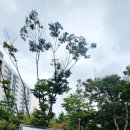 초원어린이공원 이미지