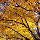 경주시립도서관 화장실 이미지