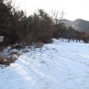 아포농협주유소 이미지