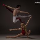 다애 카카오 검색결과