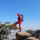 산과 하나 되는 삶을 가꾸는 재경 영암군향우산악회 2025...희망 울린 관악산 산행, 멋진 그림 명작으로 이미지