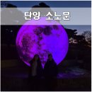 단양 소노문 리조트 조식부페 오션플레이 후기