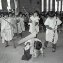 수원-1985 티스토리