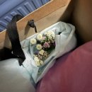 윤희유치원 | [W10] 수원 헤어변형 윤희헤어 촬영 후기 (소개이벤트 O)