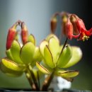 청수정가든 이미지