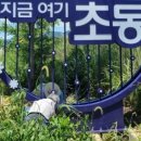 디자인한우물 이미지