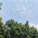 수원-1649 | [경기여행/과천] 정조의 친필이 남은 객사, 온온사