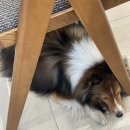 라비네일 | 달서구 유천동 네일 "라비뷰티살롱"에서 유지력 좋은 네일 받은 후기