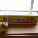 군입정 이미지