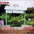 철길마을분식 이미지