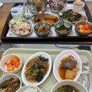 더좋은한방병원 | [힘찬하나로한방병원] 근종수술 회복하러 다녀온 한방병원 후기