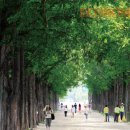 박람회길 이미지