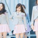 세정