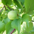 후레쉬팩토리 이미지