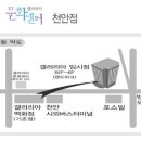 ＜충남＞ 갤러리아 백화점 천안 문화센터 태글리쉬 강사 구인 이미지