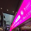 코엑스 코스모뷰티 서울 2026 방문후기