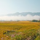 광의사거리 이미지