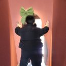 삼육사로22 | 포천 선단동 새로생긴 대형카페 안도 ANDO